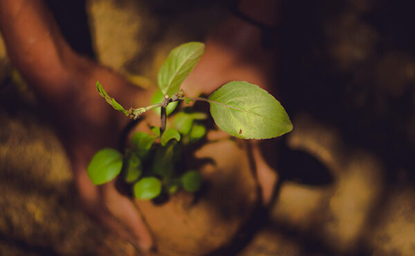 ภาพขนาดย่อ